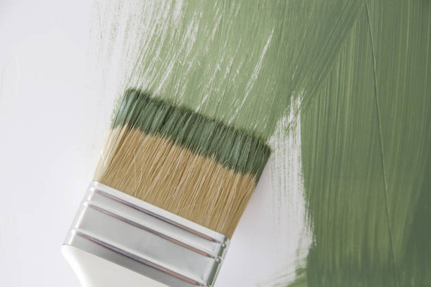 Trusted Hartley, CA Mold Removal Experts