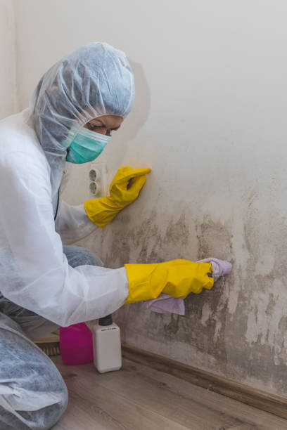Dehumidification Services in Hartley, CA