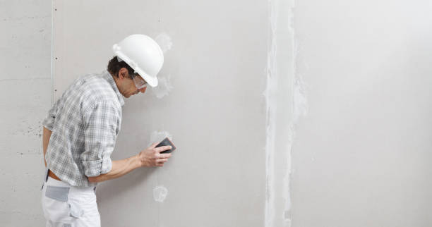 Best Post-Construction Mold Inspection  in Hartley, CA
