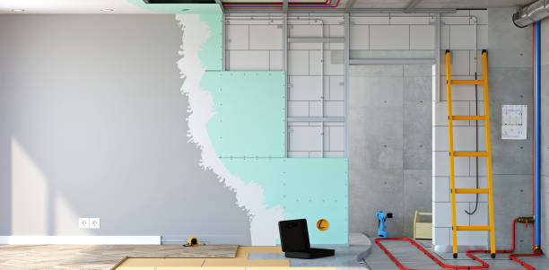 Best Black Mold Removal  in Hartley, CA