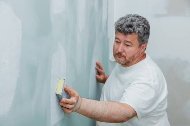 Best Mold Damage Restoration  in Hartley, CA